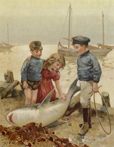 Chi ha rotto la rete di papà? da English School